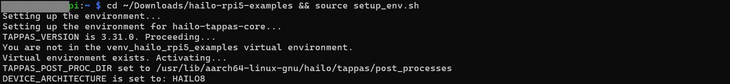 yolohailotemplate_hef_img_result